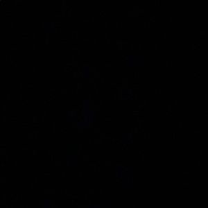 Meet your Posher, Tamarcus